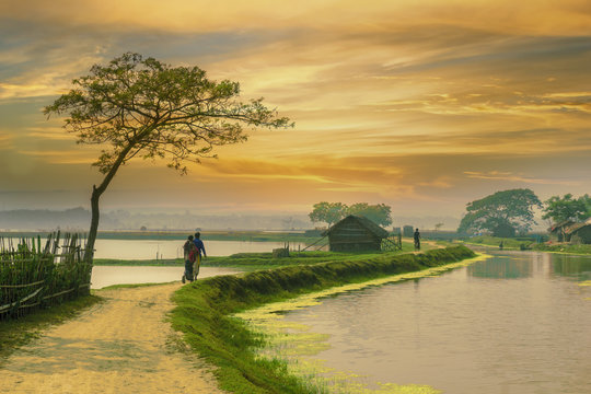 মেয়েটি তার ছোট্টবেলার ফ্রক কোথাও খুঁজে পায়নি